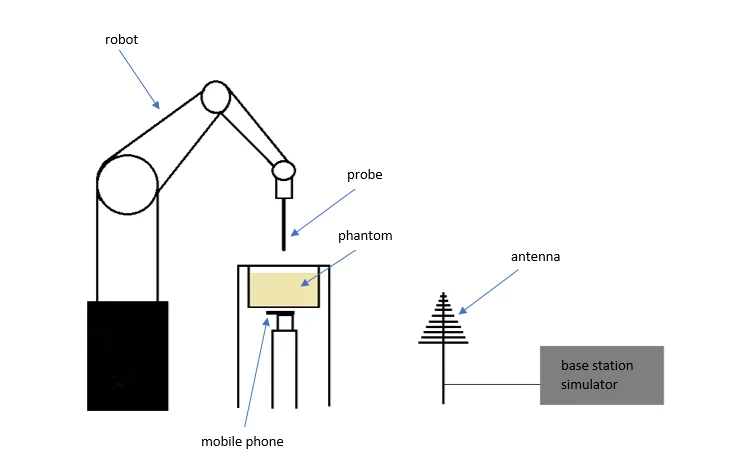 Specific absorption rate testing equipment and set up